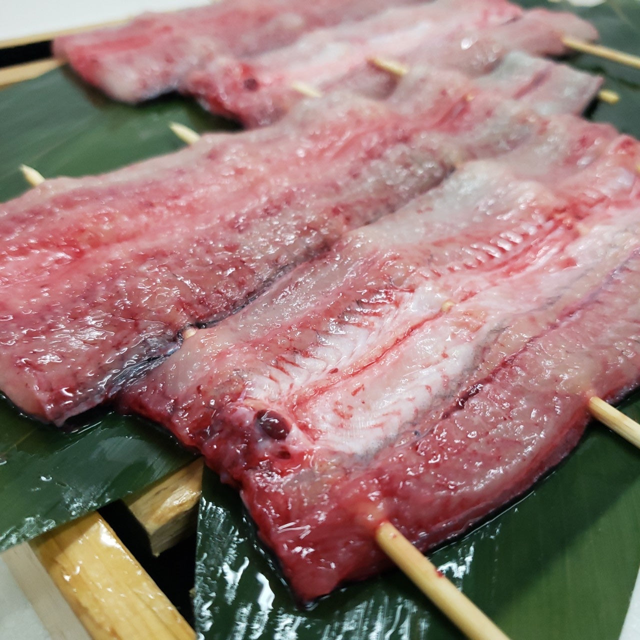 生ウナギ開き(朝〆)