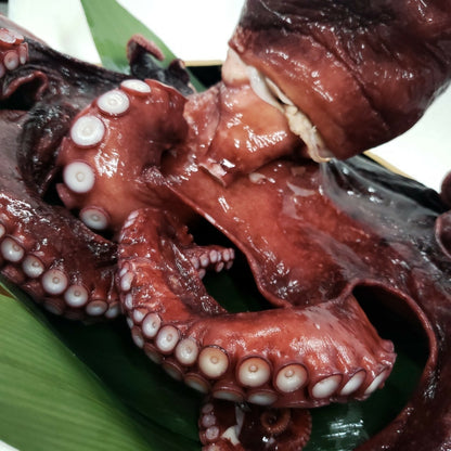 岩手県久慈のボイルミズダコ