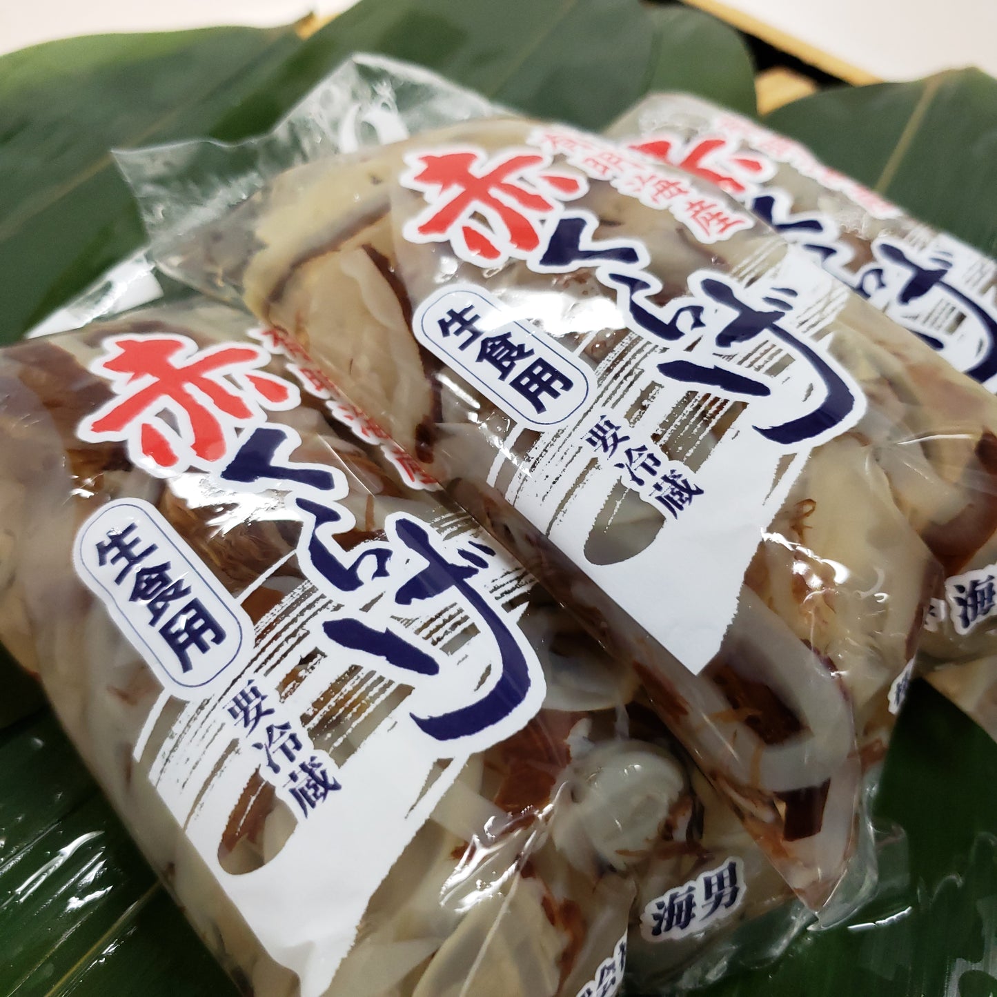 有明の赤クラゲ