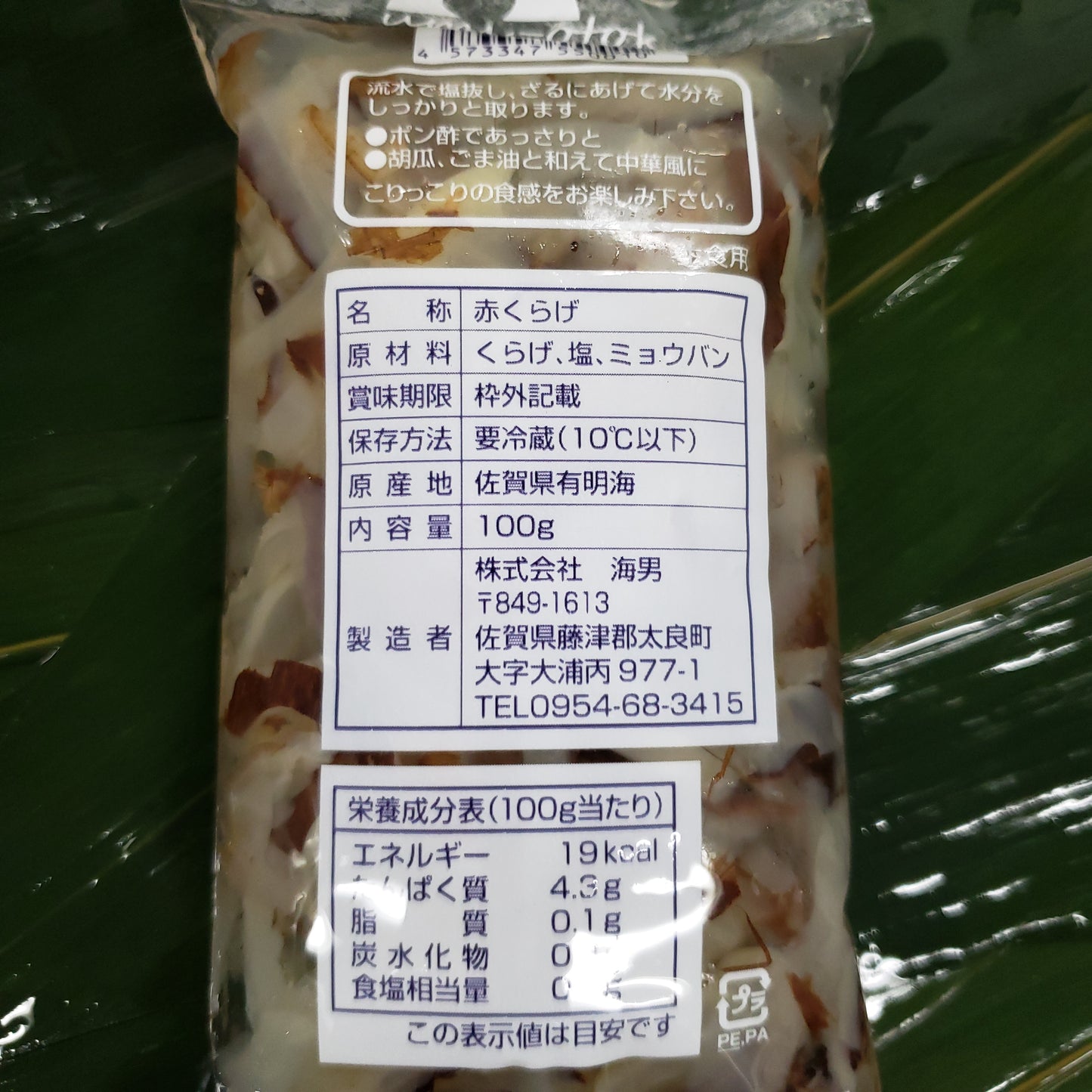 有明の赤クラゲ