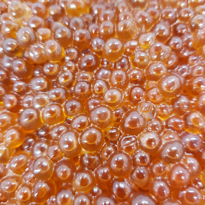 マスイクラ醤油漬