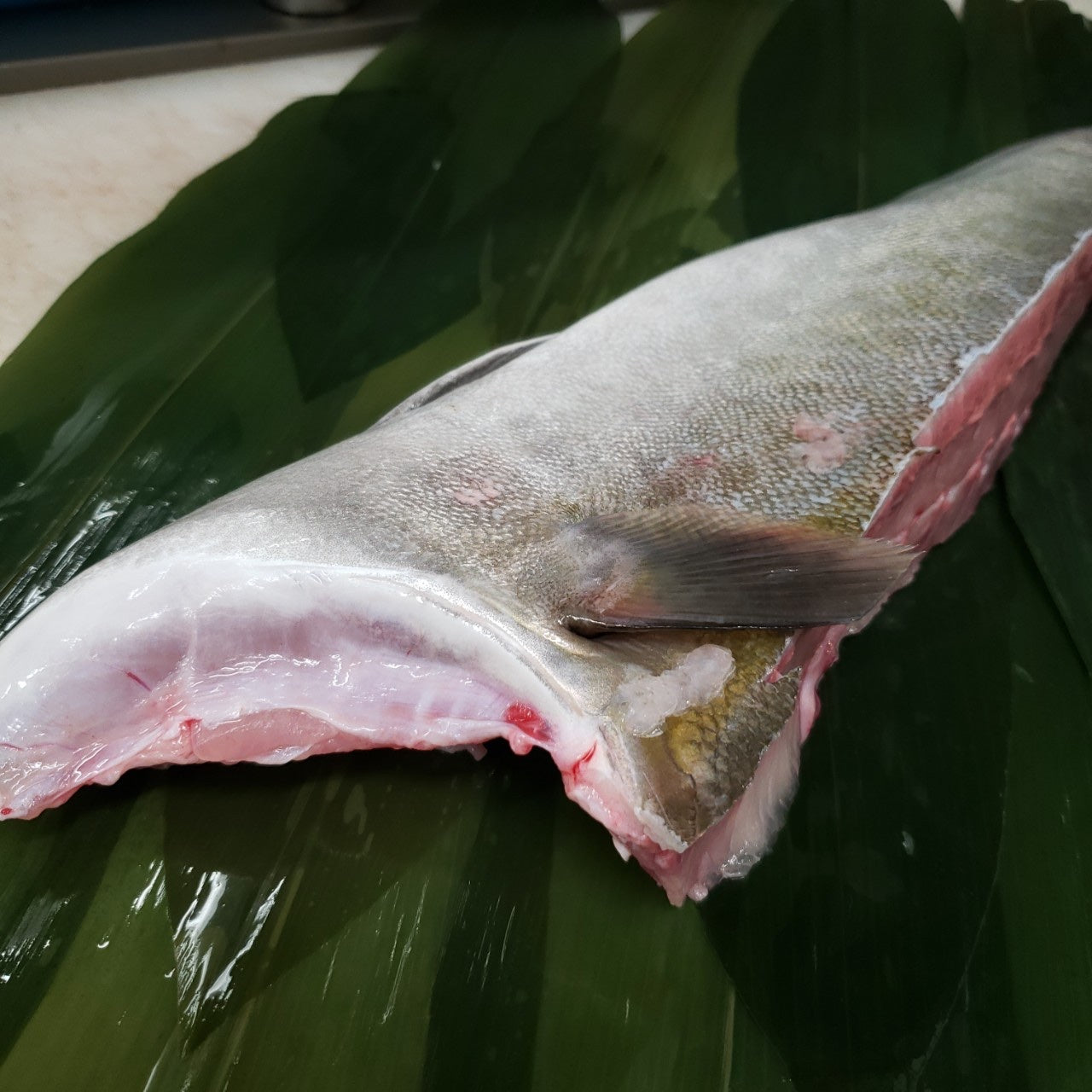 カンパチ1/4尾(腹)