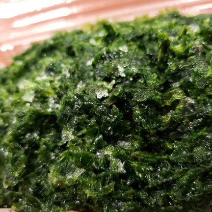 生青のり
