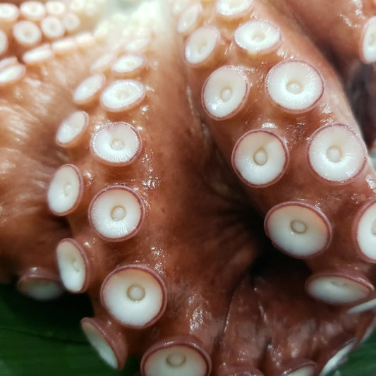 岩手県久慈のボイルミズダコ