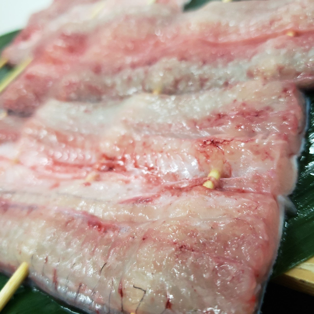 生ウナギ開き(朝〆)