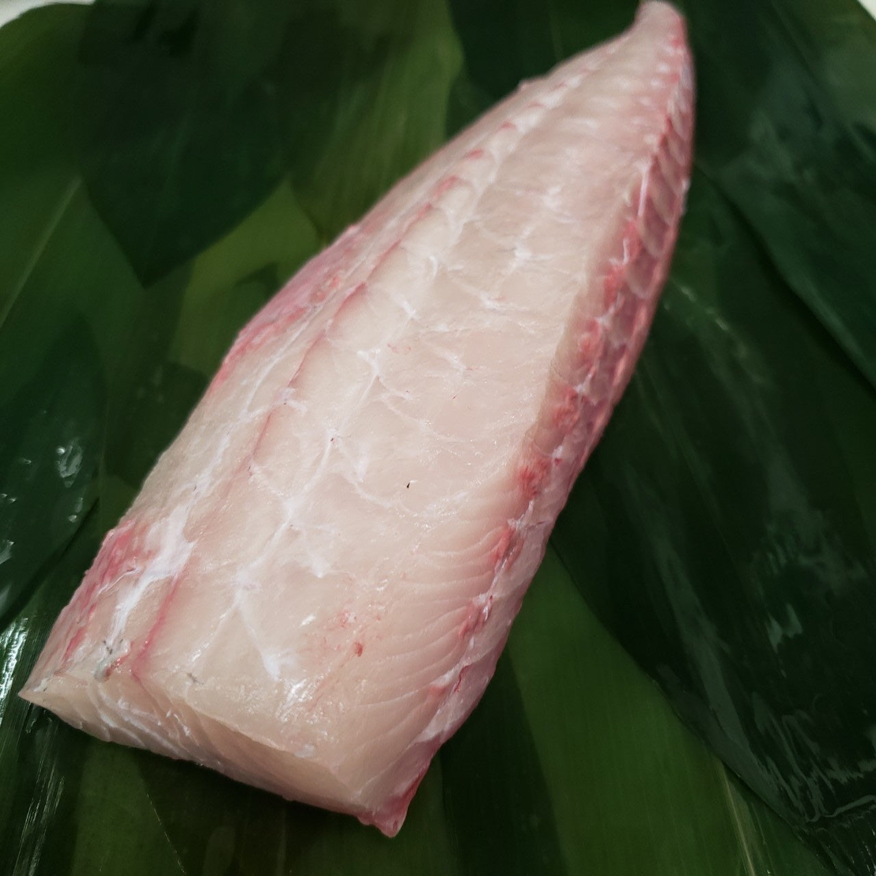 カンパチ1/4尾(背)