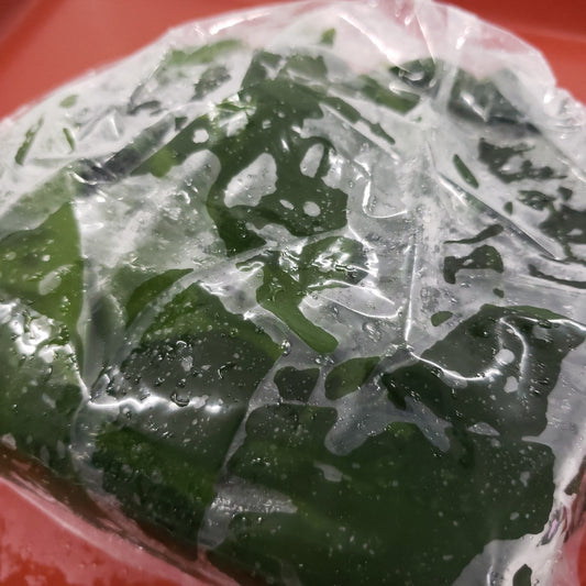 淡路産ボイルワカメ